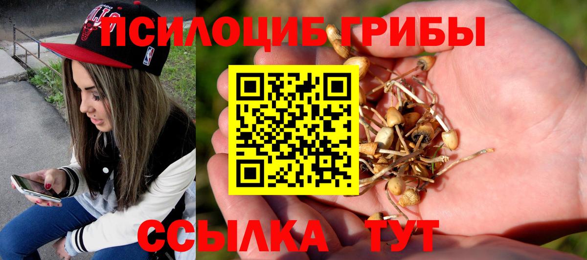 Галлюциногенные грибы GOLDEN TEACHER Елец