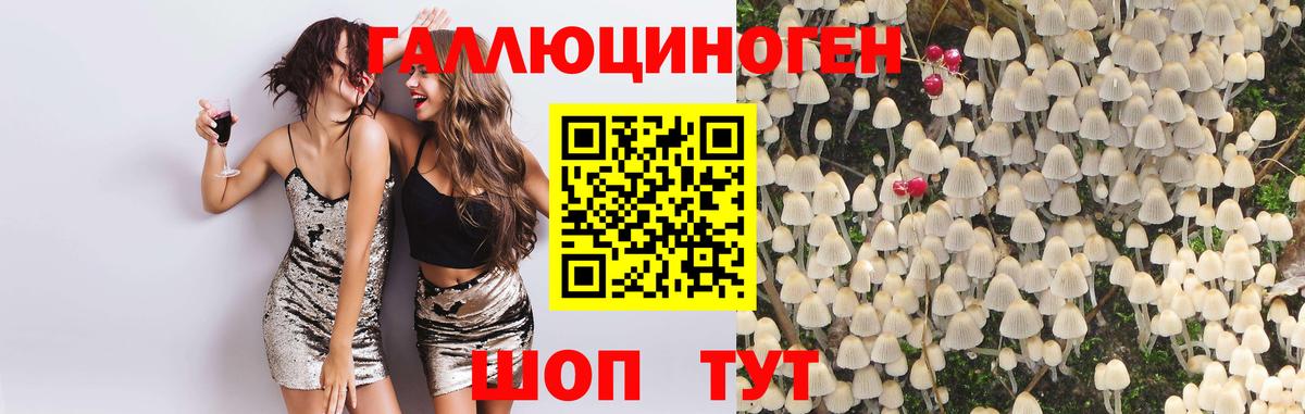 Елец  Псилоцибиновые грибы Psilocybe  Псилоцибиновые грибы мицелий  Вход с VPN 
